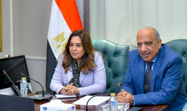 وزيرا الكهرباء والتنمية يبحثان التنسيق والعمل المشترك والتعاون في قضايا البيئة والطاقات المتجددة