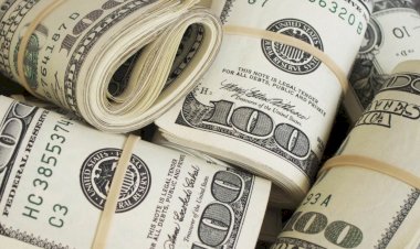 أسعار الدولار في مصر اليوم الأحد