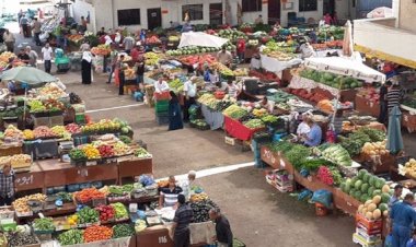 أسعار الخضروات والفاكهة في مصر اليوم الأحد