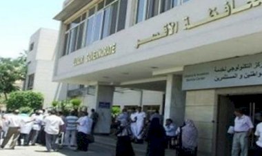 محافظة الأقصر تعلن بدء التقديم للدورات التدريبية المكثفة لشباب الخريجين