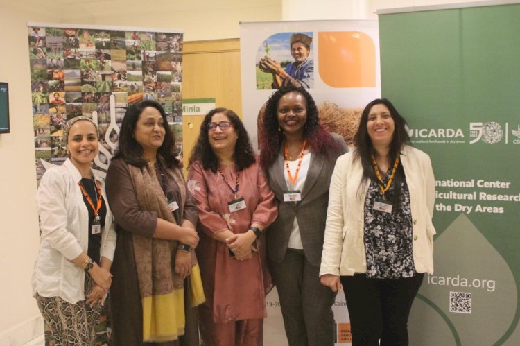 خبراء المجموعة الاستشارية للمساواة بين الجنسين تضع أجندة مشتركة لأنظمة الغذاء في الشرق الأوسط وشمال افريقيا 