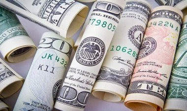 أسعار العملات في مصر اليوم الثلاثاء