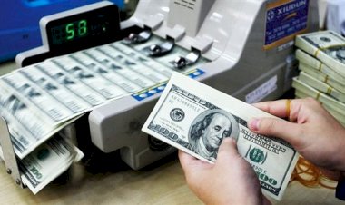 أسعار الدولار في مصر اليوم الخميس