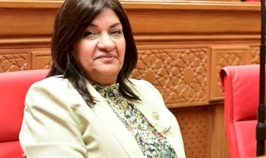 برلمانية: مشروع "أبيدوس 2" يعزز دور الصناعة المصرية ويواكب التحول للطاقة النظيفة