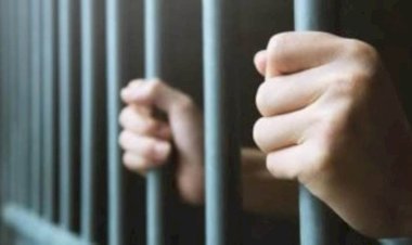 إحالة المتهم بالتعدي على خمسة أطفال بمدرسة دولية شهيرة إلى جنايات الإسكندرية