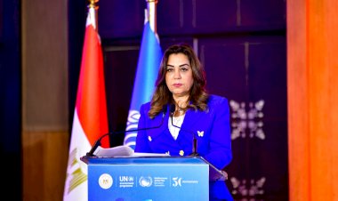 وزيرة التنمية تعلن صدور إعلان القاهرة الوزاري لمؤتمر الأطراف المتعاقدة لاتفاقية البحر الأبيض المتوسط