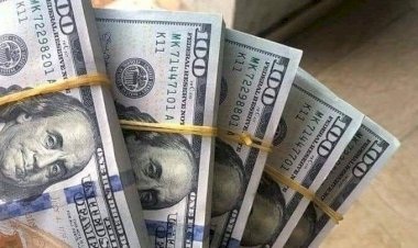 أسعار الدولار في مصر اليوم الإثنين