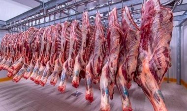 أسعار اللحوم في مصر اليوم الاربعاء