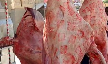أسعار اللحوم في مصر اليوم الخميس