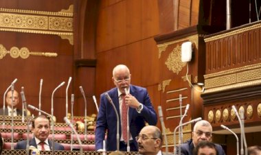 النائب حازم الجندى: وحدة الموقف العربى حجر الزاوية فى مواجهة التحديات