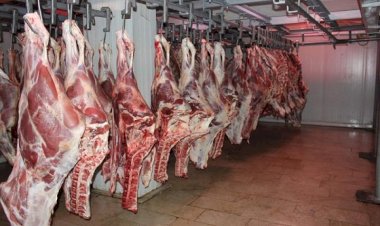 أسعار اللحوم في مصر اليوم الأحد