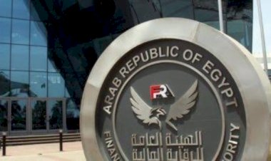 لأول مرة.. الرقابة المالية عضو في فريق عمل فجوة الحماية التأمينية بالمنظمة الدولية لمراقبي التأمين  IAIS