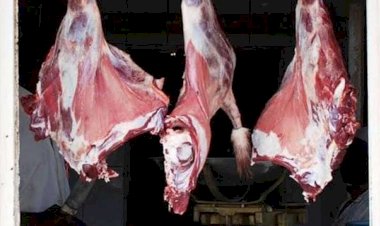 أسعار اللحوم في مصر اليوم الجمعة