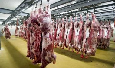 أسعار اللحوم في مصر اليوم الأحد