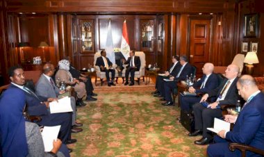 مباحثات مصرية-صومالية حول سبل تعزيز الشراكة ودعم الأمن والاستقرار