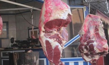 أسعار اللحوم في مصر اليوم الاربعاء