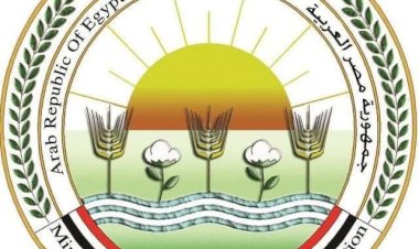 "الزراعة" تُحقق إنجازاً علمياً جديداً: "البحوث الزراعية" يحصد المركز الثاني في تصنيف «سيماجو» لعام 2025