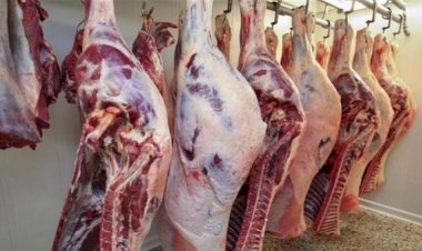 أسعار اللحوم في مصر اليوم الثلاثاء