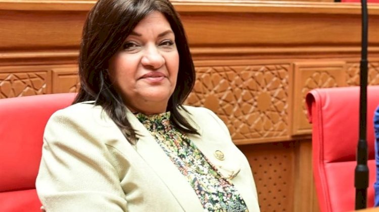 برلمانية: مشروع "أبيدوس 2" يعزز دور الصناعة المصرية ويواكب التحول للطاقة النظيفة