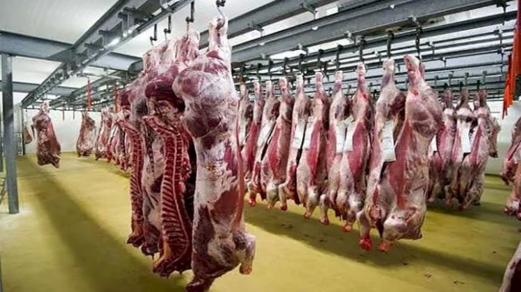 أسعار اللحوم في مصر اليوم الأحد