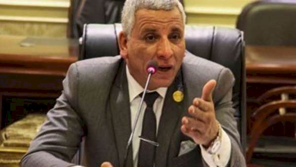 برلماني: رفع فيتش تصنيف مصر الائتماني يعكس استقرار الاقتصاد وكفاءة السياسات المالية