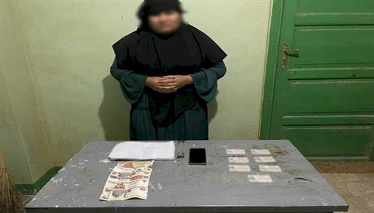 الداخلية: ضبط سيدة بحوزتها بطاقات ناخبين بمحيط لجان المنتزه