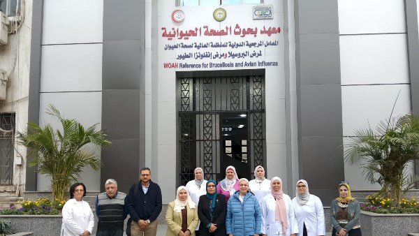 إنجاز جديد لوزارة الزراعة.. اعتماد "بحوث الصحة الحيوانية" كجهة دولية مانحة لاختبارات الكفاءة المعملية
