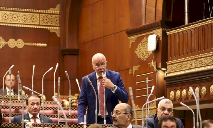 النائب حازم الجندى: وحدة الموقف العربى حجر الزاوية فى مواجهة التحديات