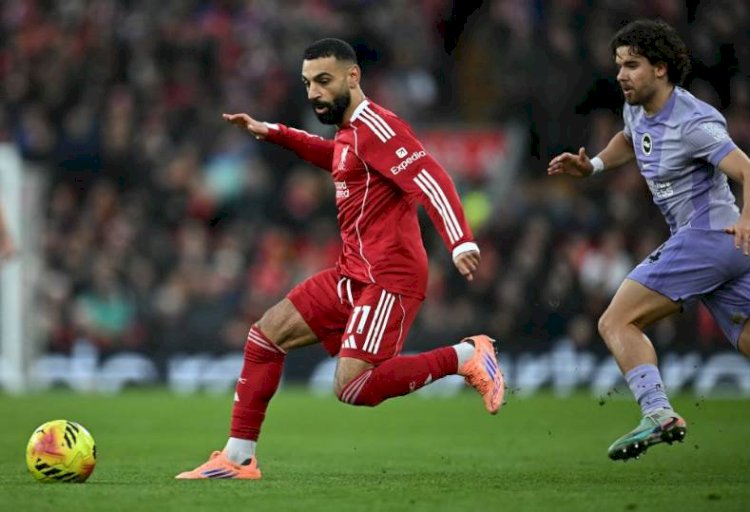 محمد صلاح يصنع فوز ليفربول ضد برايتون بثنائية بالدورى الإنجليزي
