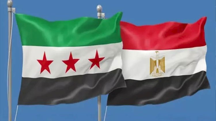 مصر تدعو إلى خفض التصعيد في سوريا وتغليب مسارات التهدئة والحوار