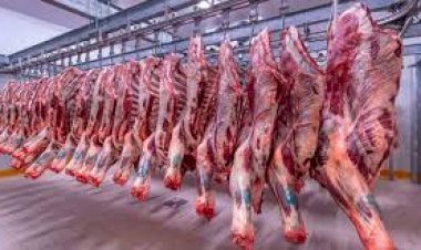 أسعار اللحوم في مصر اليوم الخميس