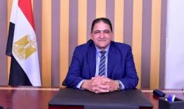 برلماني: الدبلوماسية المصرية لعبت دورا محوريا في إحلال السلام بالعالم العربي وإفريقيا