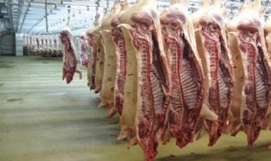 أسعار اللحوم في مصر اليوم السبت