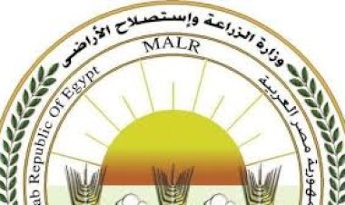 الزراعة ترفع درجة الاستعداد: تكثيف حملات التفتيش وضخ المنتجات في منافذها بأسعار مخفضة