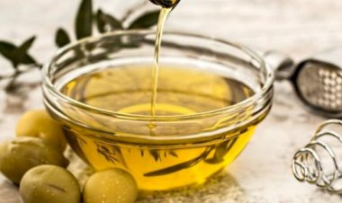 زيت الزيتون.. فوائد بالجملة للقلب والشعر والبشرة
