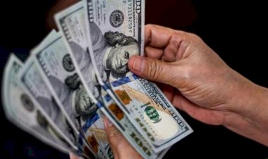 أسعار الدولار في مصر اليوم الخميس