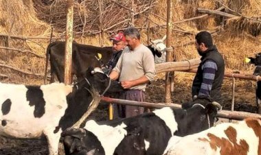 "الزراعة" تطلق منظومة وقائية متكاملة لحماية الصحة العامة والثروة الحيوانية