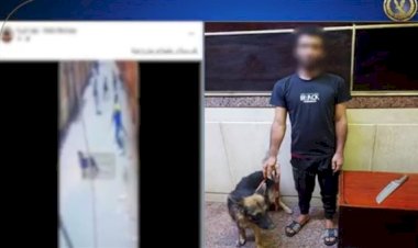 الداخلية تكشف ملابسات فيديو الاعتداء على كلب بأحد شوارع الجيزة وتضبط المتهم
