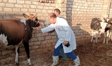 الزراعة" تطلق حملة استثنائية لتحصين الثروة الحيوانية ضد الحمى القلاعية والوادي المتصدع