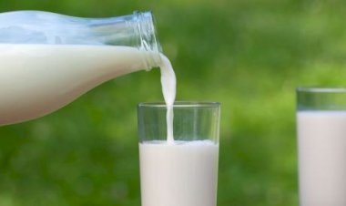 الحليب الطازج أم طويل الأجل.. طبيبة تكشف الفروق الغذائية والصحية