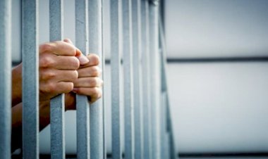 السجن 15 عاما لسائق توك توك بتهمة هتك عرض طفلة في الوراق