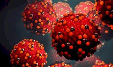 أصاب 90 شخصا.. فيروس خطير يتفشى على متن سفينة سياحية أمريكية