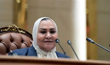 النائب سمير صبري: "المجلس الجديد في العاصمة الإدارية يمثل بداية خير لمصر