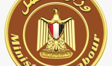 تعرفي علي أبرز أنشطة وزارة العمل خلال أسبوع