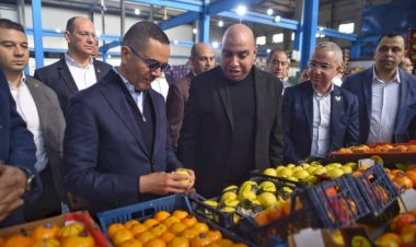 وزير الاستثمار يتفقد عددًا من المصانع بالمنطقة الاستثمارية بمدينة بنها