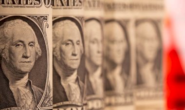 أسعار الدولار في مصر اليوم الأحد