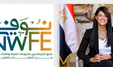 فوز مشروع «أبيدوس 2» للطاقة الشمسية بجائزة الصفقة الأفريقية للعام