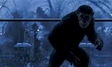 فيلم الرعب PRIMATE فى دور العرض المصرية.. اعرف تفاصيله