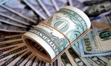 أسعار الدولار في مصر اليوم السبت