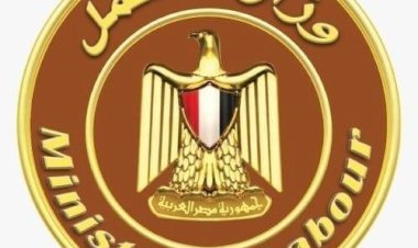 وزير العمل يدعو "صاحب الفيديو المتداول" للتوجّه فورًا إلى مديرية العمل بكفر الشيخ لبحث مشكلته بشكل عاجل